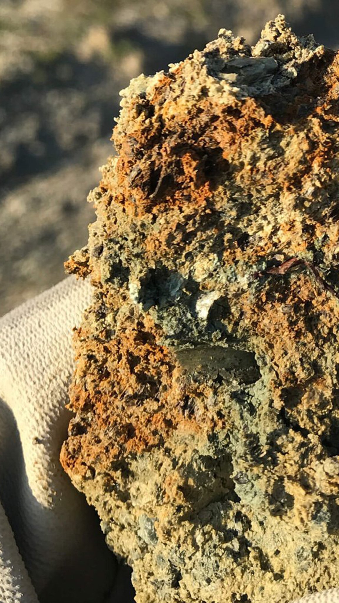 Thanks to biological soil analysis, we help safeguard vineyard biodiversity.