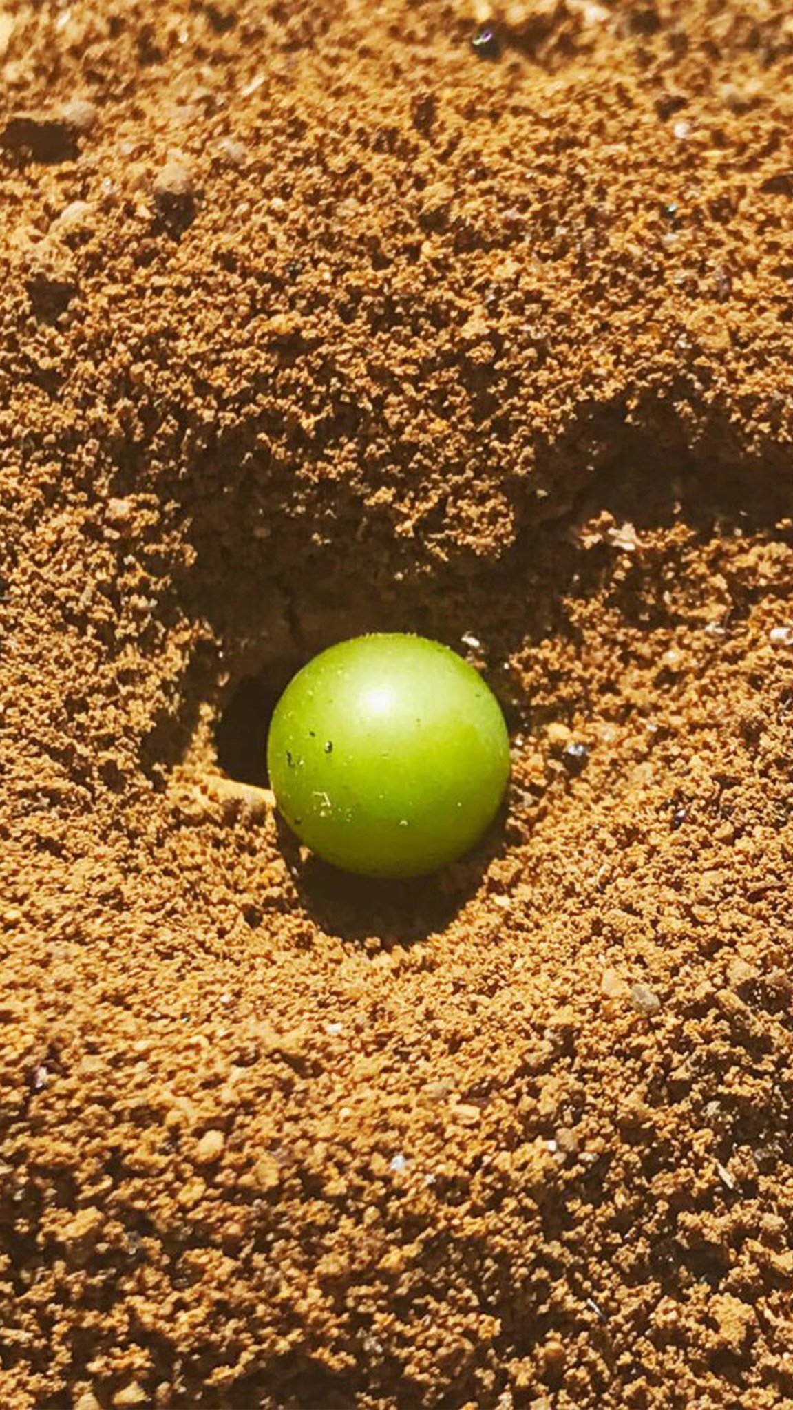 At Vitenova, we believe it is essential to assess the behavior and potential of each vineyard. This allows us to trace a clear thread from soil to vine to the quality of the final product. 