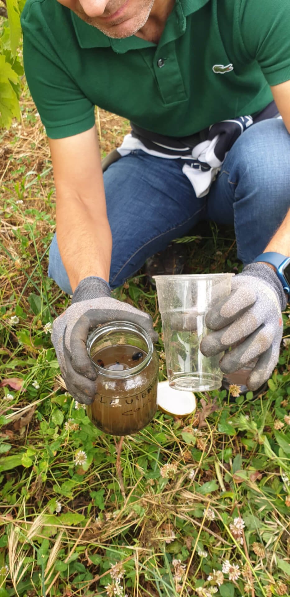 img-biodiversita