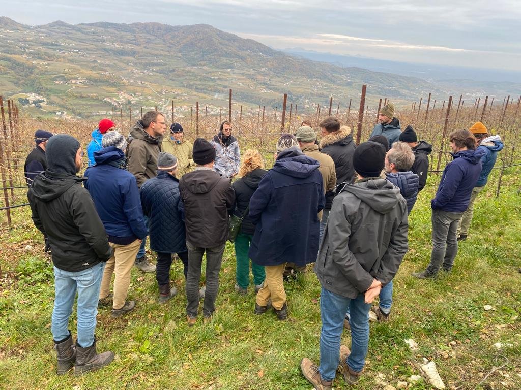 sivin scuola viticoltura in vigna