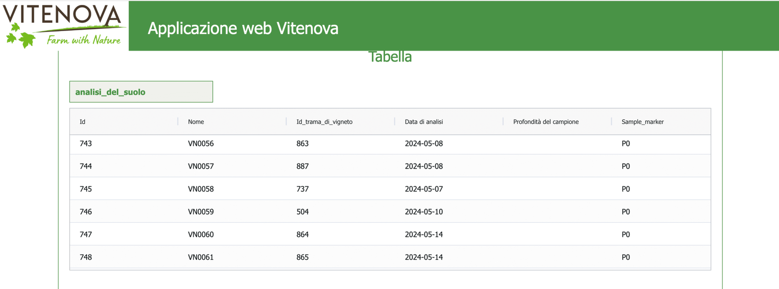 vitebit vitebit